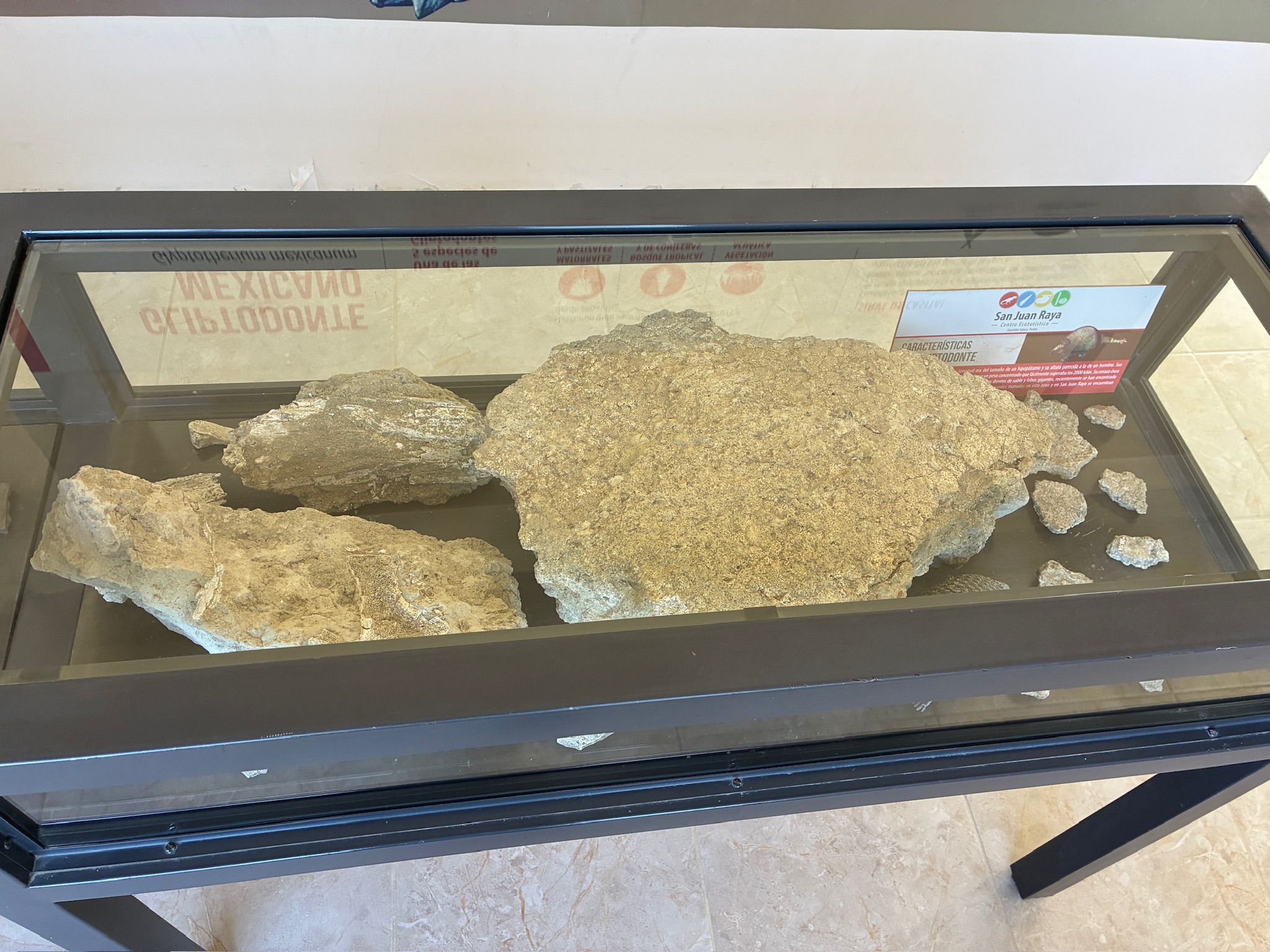 Paleontological site