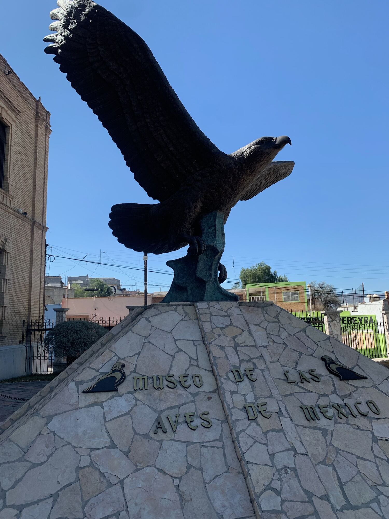 Museo de las Aves de México, Saltillo 2022, photo 1