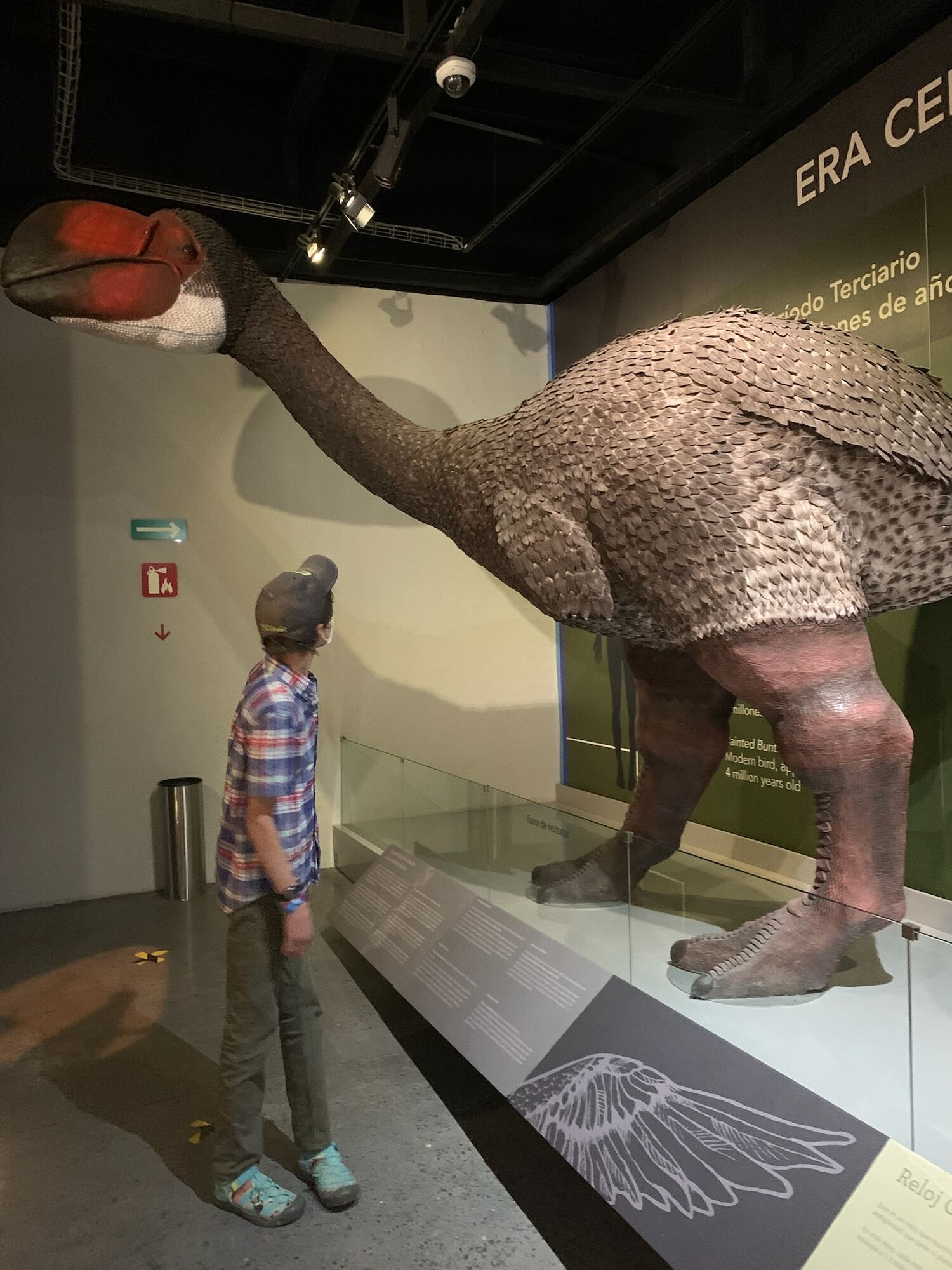 Museo de las Aves de México, Saltillo 2022, photo 3
