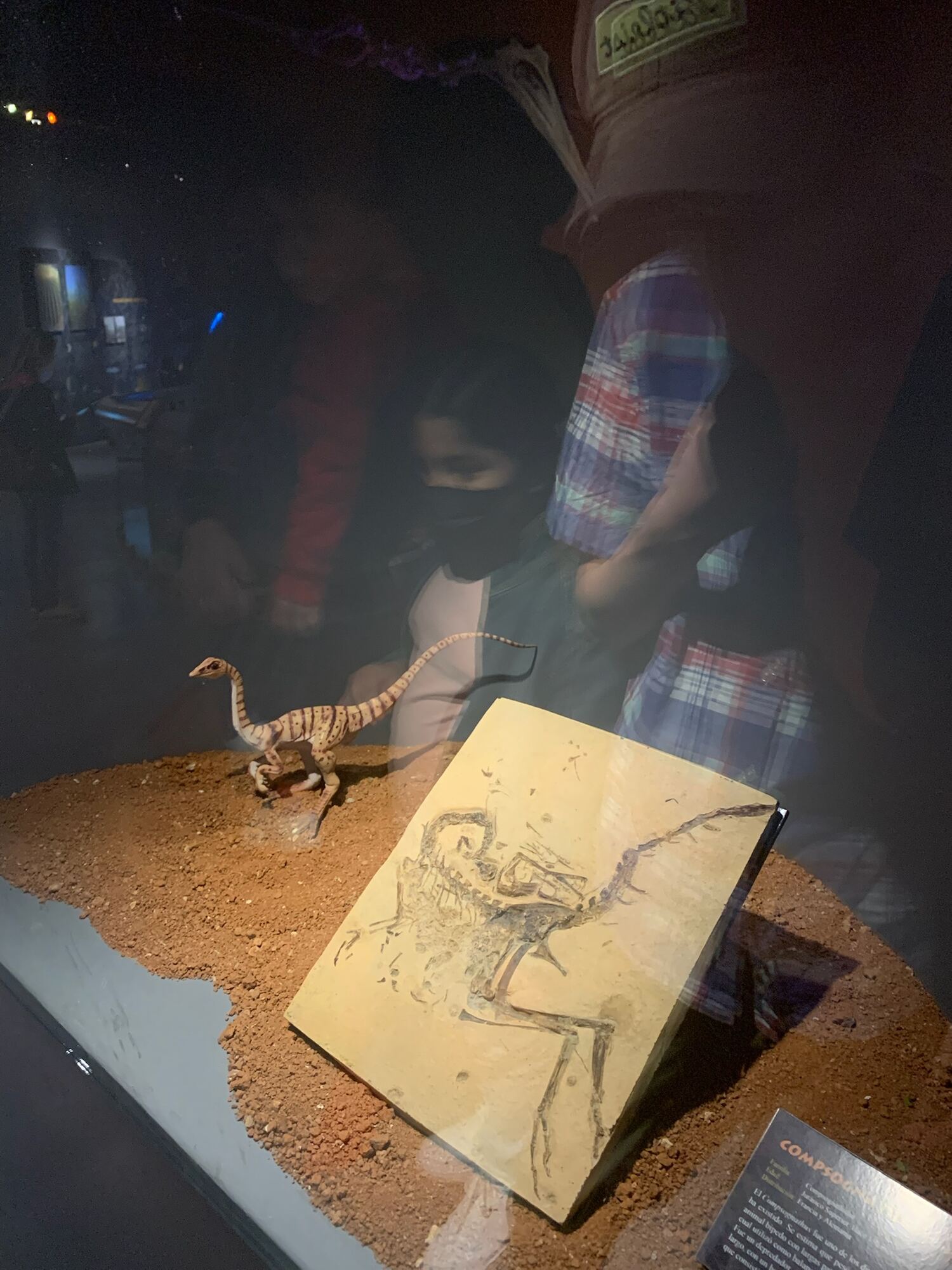 Museo del Desierto, Saltillo 2022, photo 2
