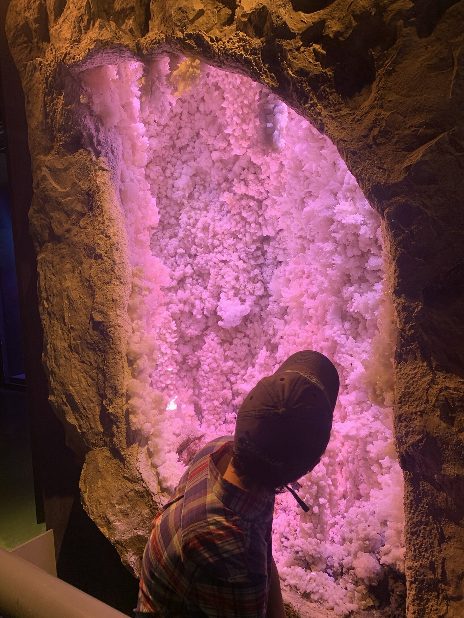 Museo del Desierto, Saltillo 2022, photo 8