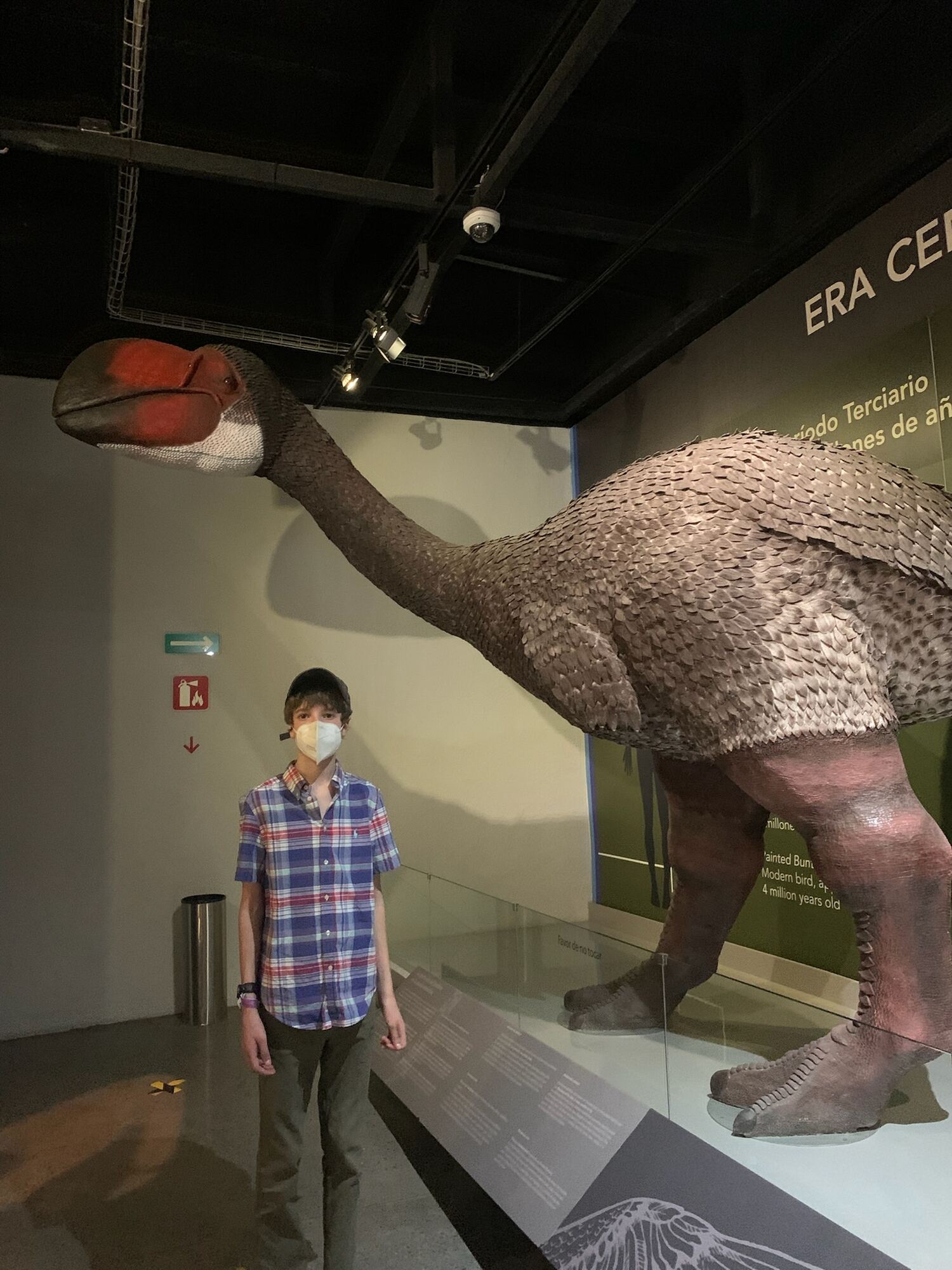 Museo del Desierto, Saltillo 2022, photo 25